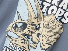 Name It flint stone dinosaurus top